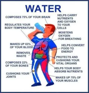 Benefit of water