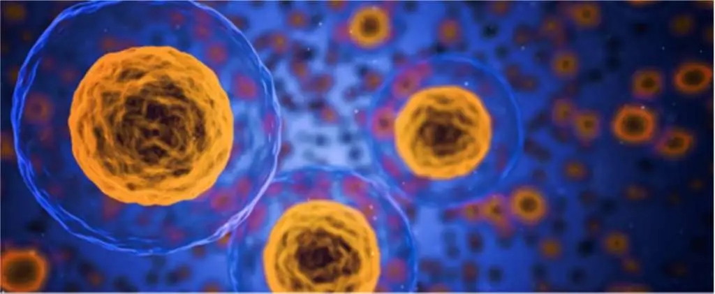 Candida Overgrowth Symptoms & Natural