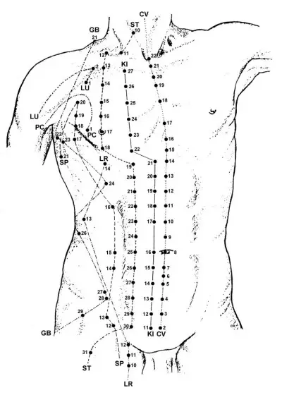 Woman health issues bras