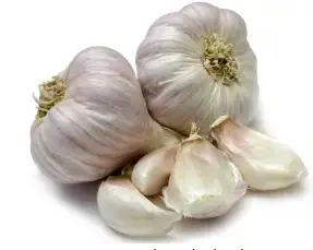 Garlic improved immune system