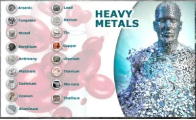 Faceing heavy metal toxicity