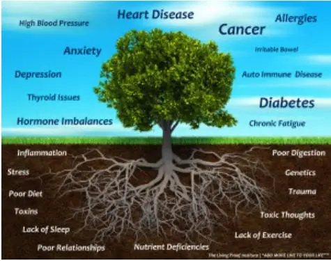 Functional Medicine Triad of Health