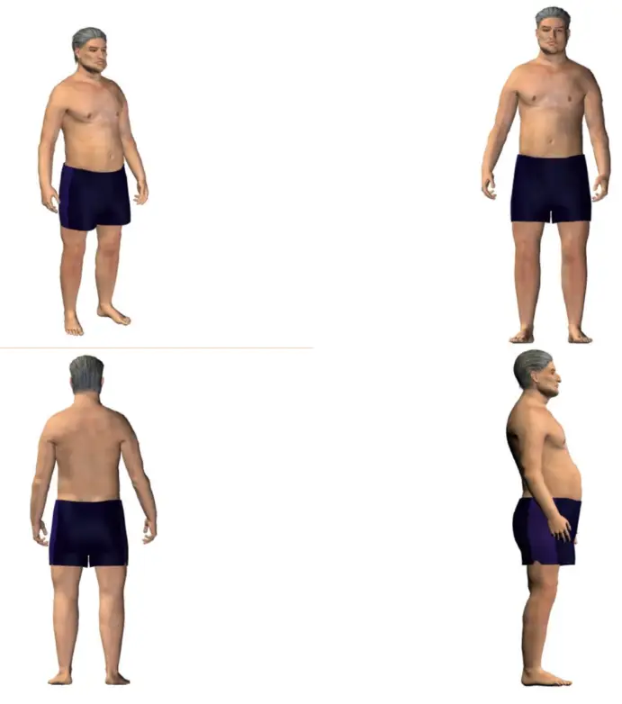 Belly Fat