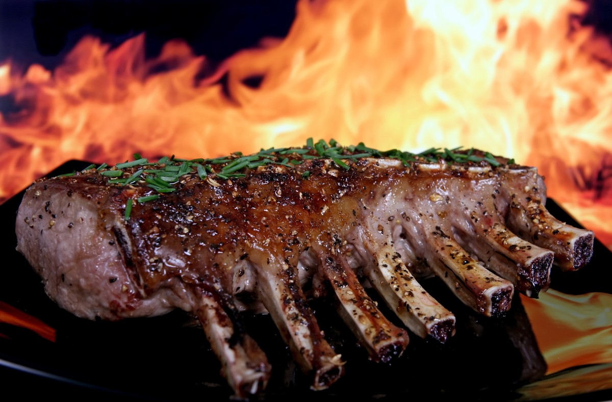 San Rafael Chiropractor Dr. Ilya Skolnikoff, DC, DIBAK Discusses Fat-Burning vs. Sugar Burning abstract american background barbecue barbeque bbq beauty beef 819785.jpgd