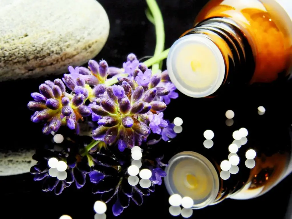 Female Hormones and the Million Women Study Discussed by Thyroid Expert female hormones