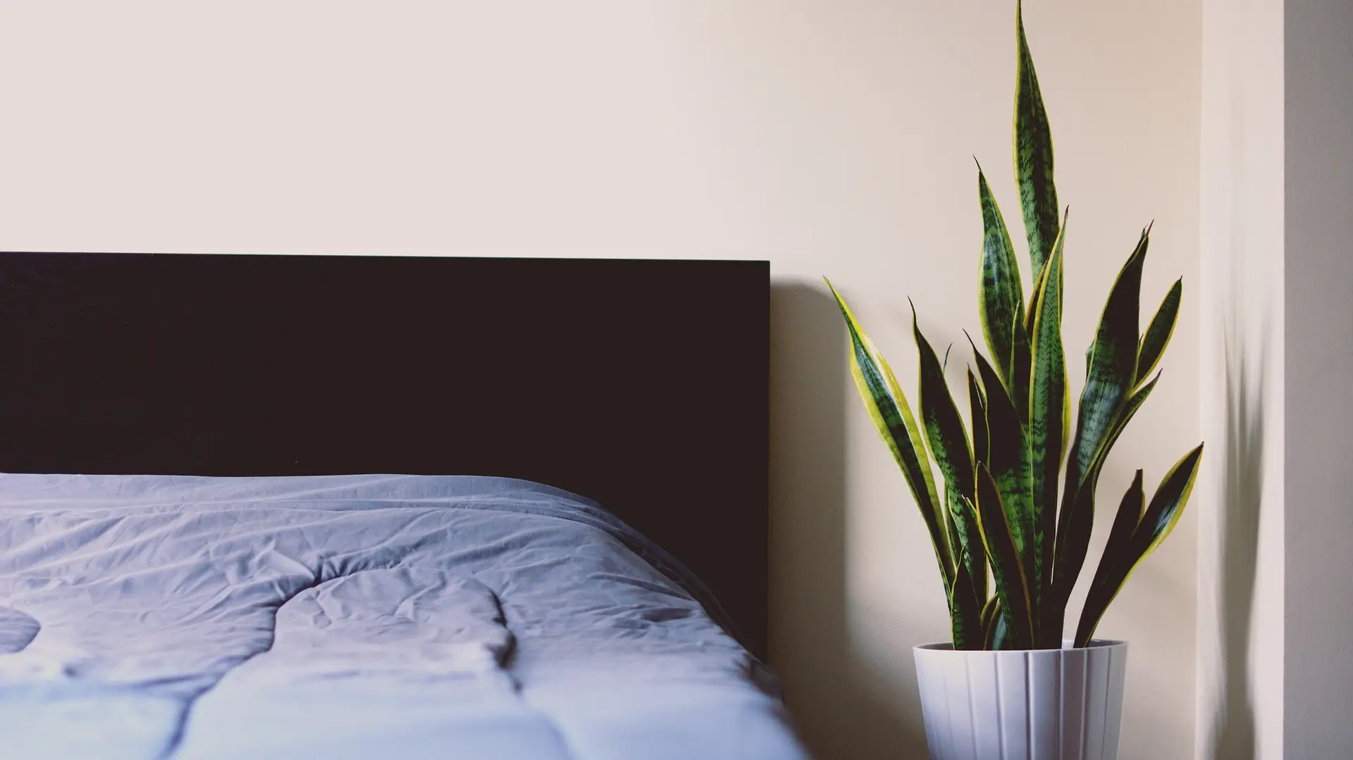 Mattress