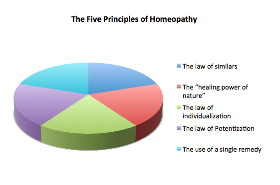 San Rafael Functional Medicine Doctor Discusses Detoxification Signs and Symptoms The Five Principles of Homeopathy By Dr. Nicole Cain