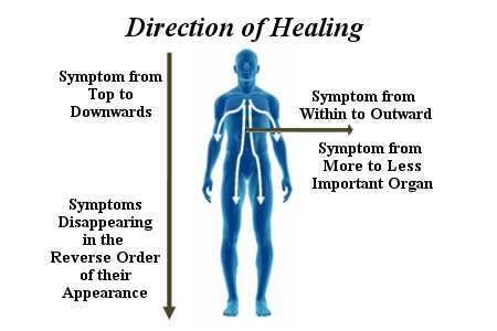 San Rafael Functional Medicine Doctor Discusses Detoxification Signs and Symptoms homeopathy direction healing