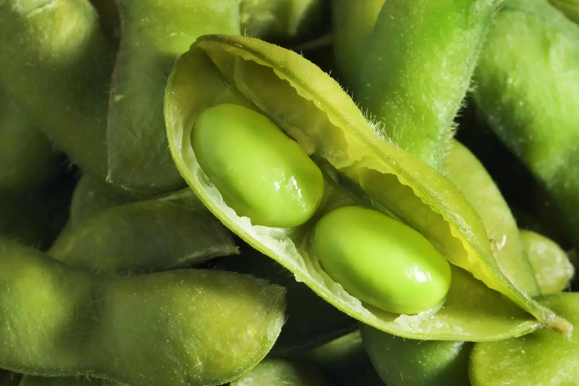 5 Fingers of Death of Soybeans