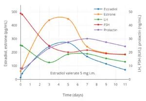 Hormone Balance Diagrams