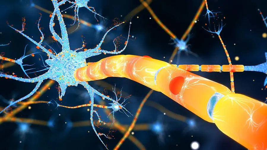 How Bioenergetics Can Transform Your Well-Being