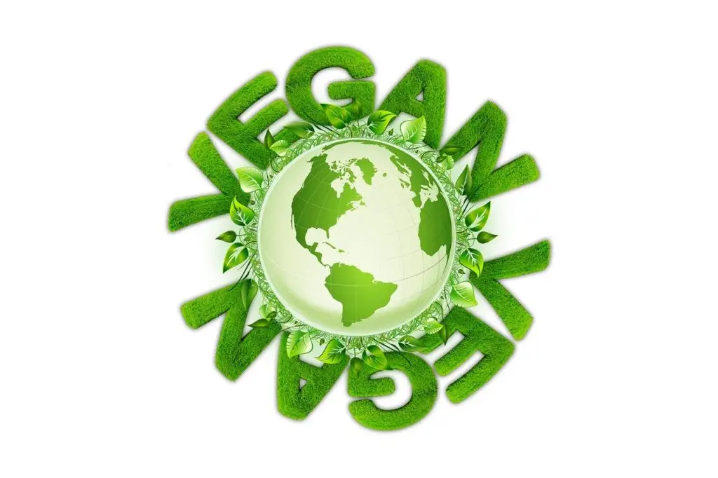 Vegetarianism