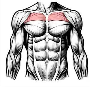 Muscles Reveal About Your Overall Health