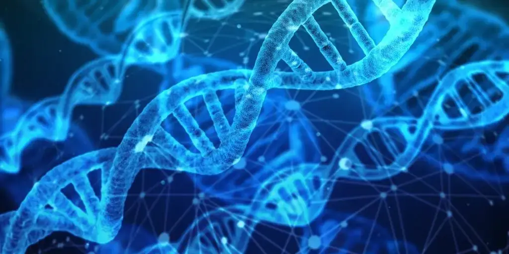 Health Problems Genetic