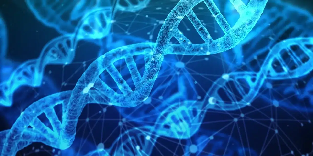 Health Problems Genetic