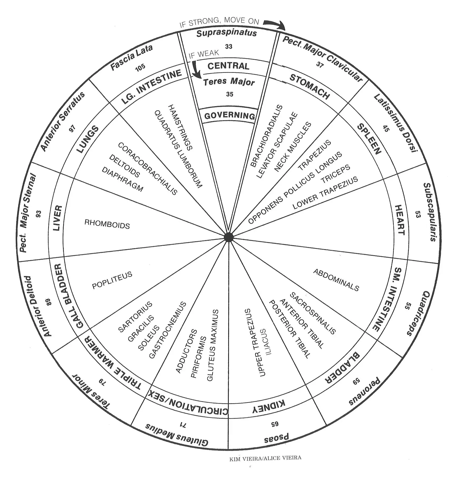 Gut Health & Digestion p247fig14c
