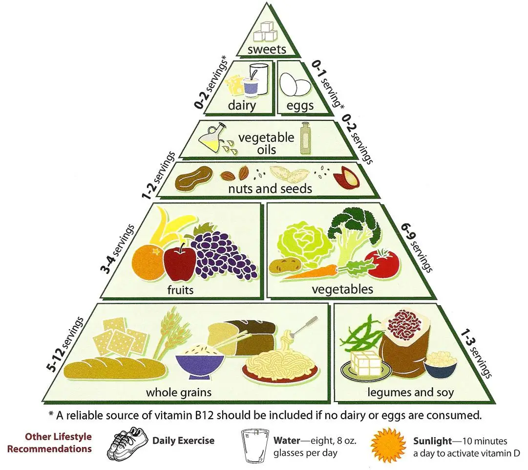 Gut Health & Digestion Loma Linda University Vegetarian Food Pyramid