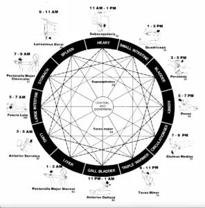 Wellness Care Acupuncture
